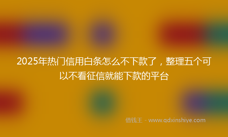 2025年热门信用白条怎么不下款了，整理五个可以不看征信就能下款的平台
