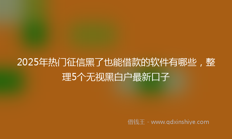 2025年热门征信黑了也能借款的软件有哪些，整理5个无视黑白户最新口子