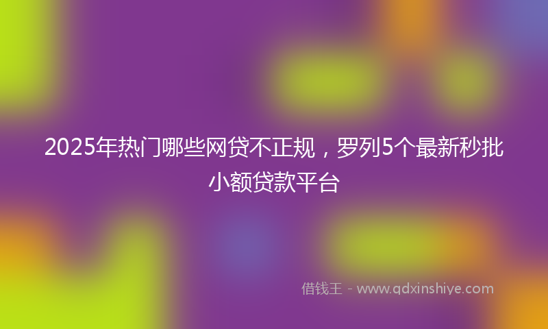 2025年热门哪些网贷不正规，罗列5个最新秒批小额贷款平台