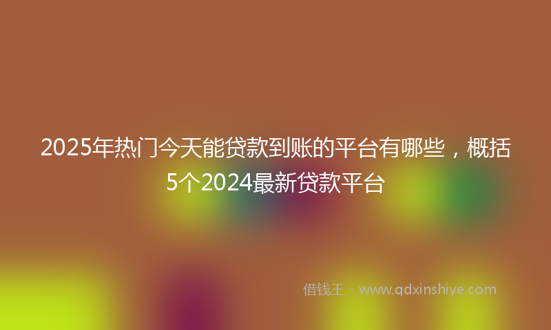 2025年热门今天能贷款到账的平台有哪些，概括5个2024最新贷款平台
