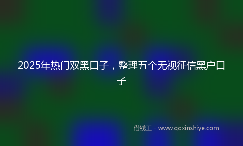 2025年热门双黑口子，整理五个无视征信黑户口子