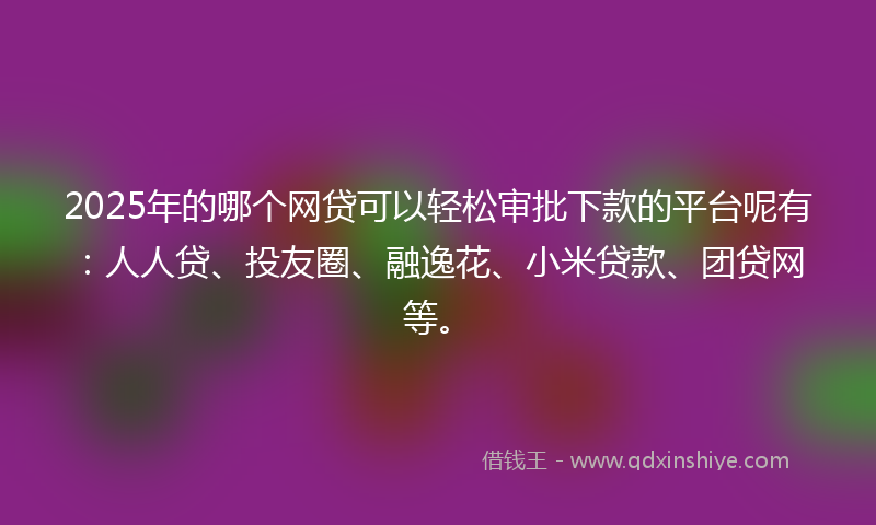 2025年的哪个网贷可以轻松审批下款的平台呢有：人人贷、投友圈、融逸花、小米贷款、团贷网等。