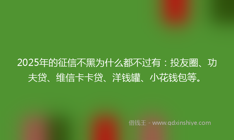 2025年的征信不黑为什么都不过有：投友圈、功夫贷、维信卡卡贷、洋钱罐、小花钱包等。