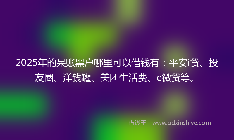 2025年的呆账黑户哪里可以借钱有：平安i贷、投友圈、洋钱罐、美团生活费、e微贷等。