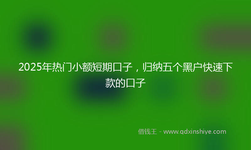 2025年热门小额短期口子，归纳五个黑户快速下款的口子