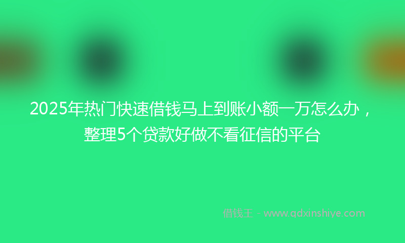 2025年热门快速借钱马上到账小额一万怎么办，整理5个贷款好做不看征信的平台