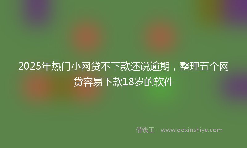 2025年热门小网贷不下款还说逾期，整理五个网贷容易下款18岁的软件