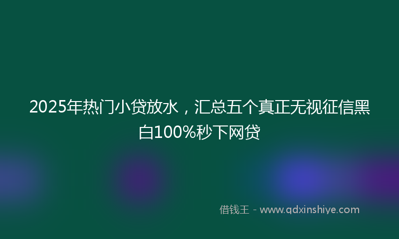 2025年热门小贷放水，汇总五个真正无视征信黑白100%秒下网贷