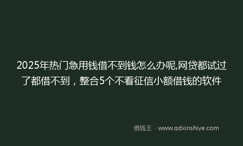 2025年热门急用钱借不到钱怎么办呢,网贷都试过了都借不到，整合5个不看征信小额借钱的软件