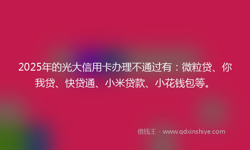 2025年的光大信用卡办理不通过有：微粒贷、你我贷、快贷通、小米贷款、小花钱包等。