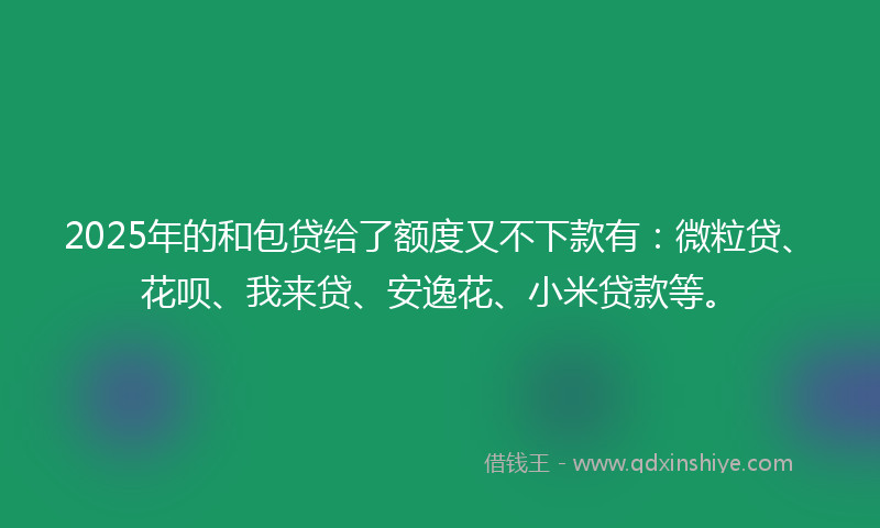 2025年的和包贷给了额度又不下款有：微粒贷、花呗、我来贷、安逸花、小米贷款等。
