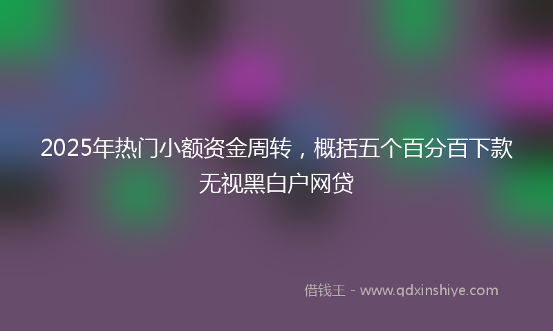 2025年热门小额资金周转，概括五个百分百下款无视黑白户网贷