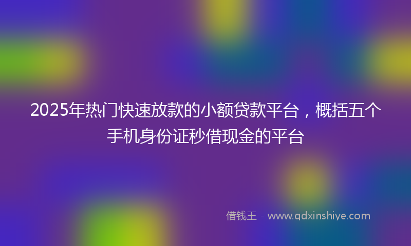 2025年热门快速放款的小额贷款平台，概括五个手机身份证秒借现金的平台