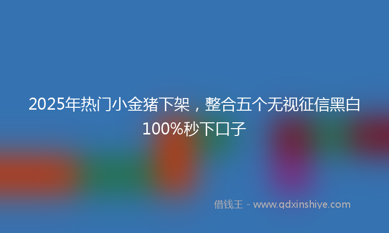 2025年热门小金猪下架，整合五个无视征信黑白100%秒下口子