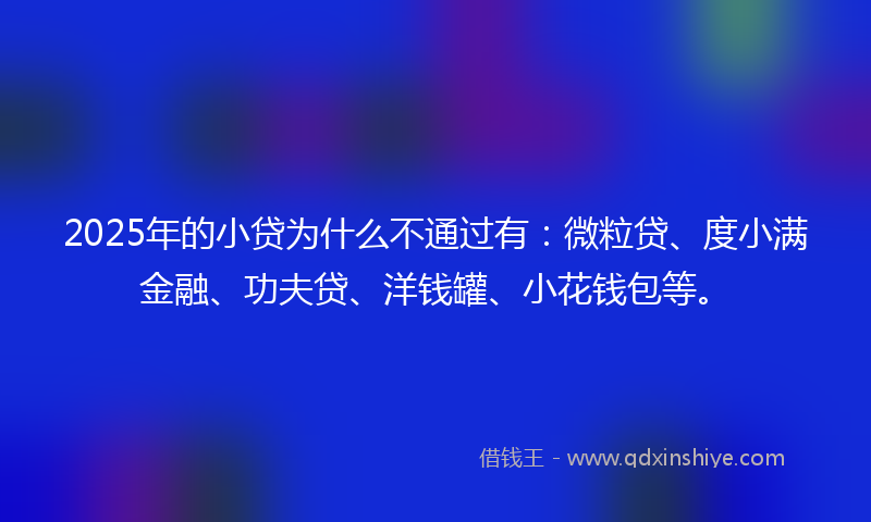 2025年的小贷为什么不通过有：微粒贷、度小满金融、功夫贷、洋钱罐、小花钱包等。