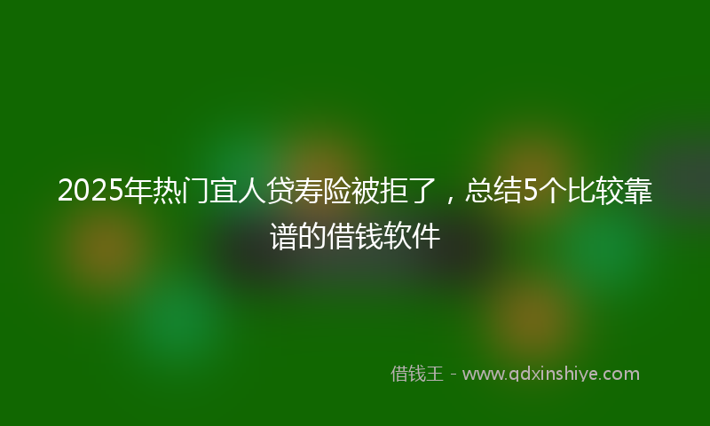 2025年热门宜人贷寿险被拒了，总结5个比较靠谱的借钱软件