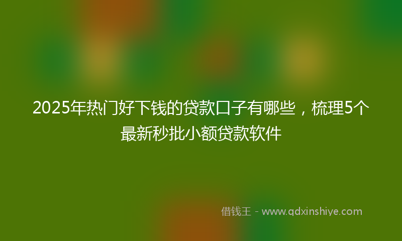 2025年热门好下钱的贷款口子有哪些，梳理5个最新秒批小额贷款软件