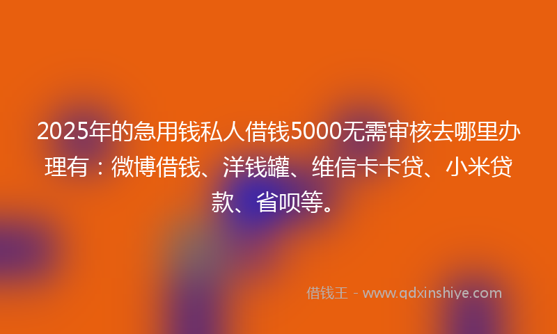 2025年的急用钱私人借钱5000无需审核去哪里办理有：微博借钱、洋钱罐、维信卡卡贷、小米贷款、省呗等。