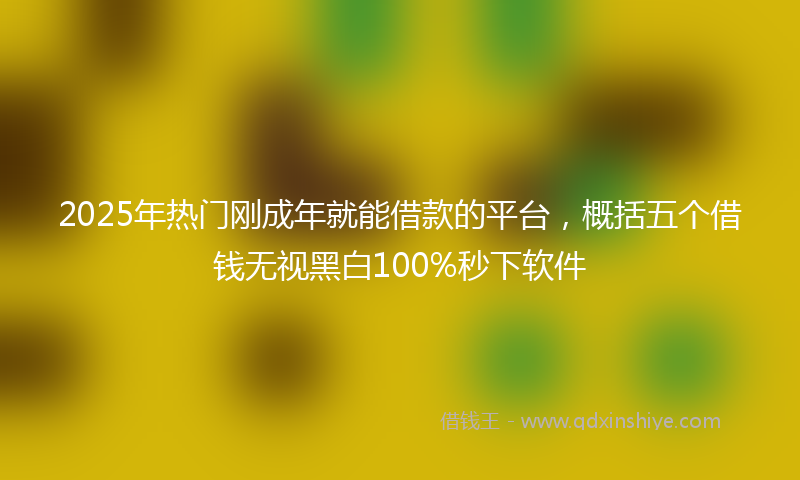 2025年热门刚成年就能借款的平台，概括五个借钱无视黑白100%秒下软件