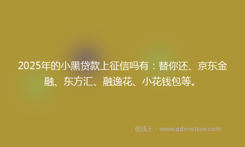 2025年的小黑贷款上征信吗有：替你还、京东金融、东方汇、融逸花、小花钱包等。