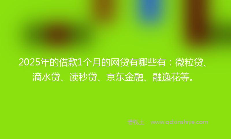 2025年的借款1个月的网贷有哪些有：微粒贷、滴水贷、读秒贷、京东金融、融逸花等。