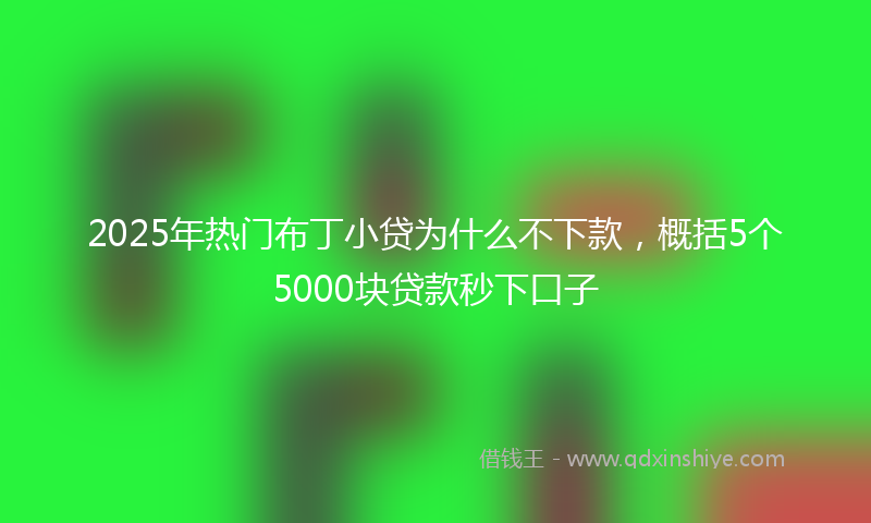 2025年热门布丁小贷为什么不下款，概括5个5000块贷款秒下口子