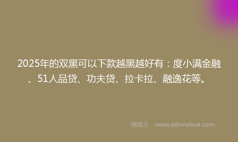2025年的双黑可以下款越黑越好有：度小满金融、51人品贷、功夫贷、拉卡拉、融逸花等。