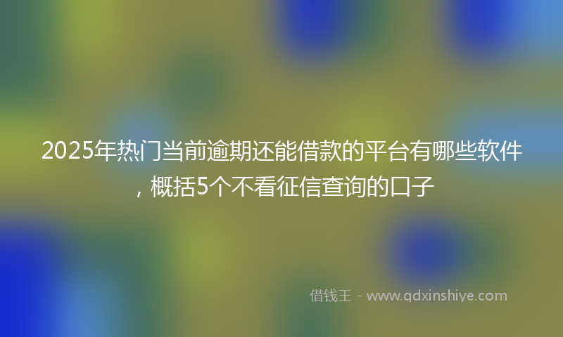 2025年热门当前逾期还能借款的平台有哪些软件，概括5个不看征信查询的口子