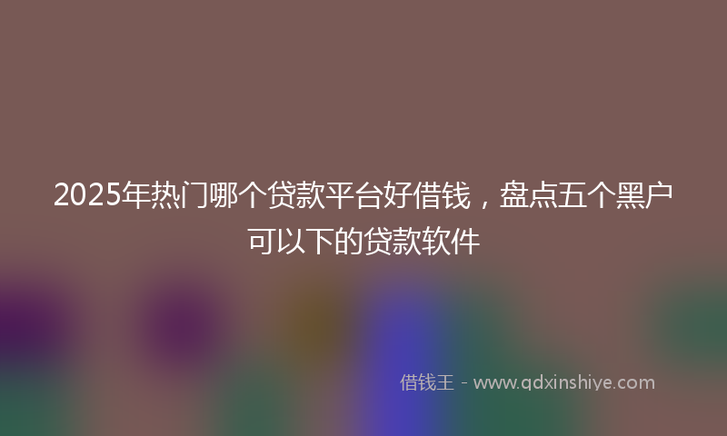 2025年热门哪个贷款平台好借钱，盘点五个黑户可以下的贷款软件