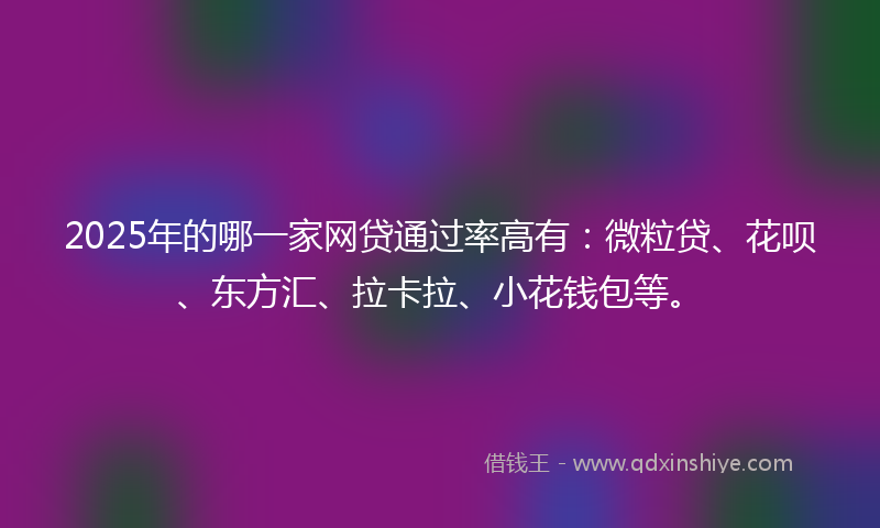2025年的哪一家网贷通过率高有：微粒贷、花呗、东方汇、拉卡拉、小花钱包等。