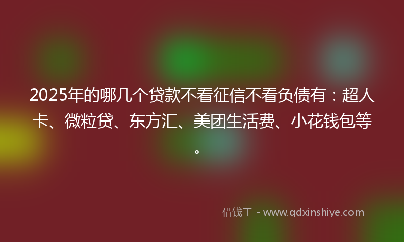 2025年的哪几个贷款不看征信不看负债有：超人卡、微粒贷、东方汇、美团生活费、小花钱包等。