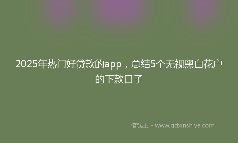 2025年热门好贷款的app，总结5个无视黑白花户的下款口子
