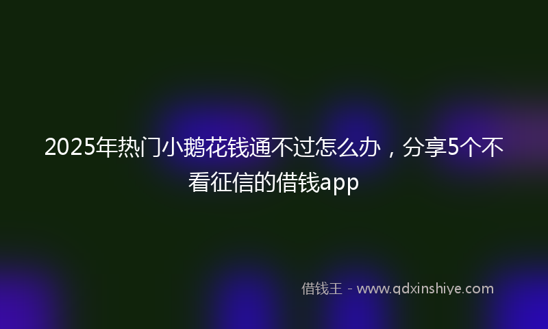 2025年热门小鹅花钱通不过怎么办，分享5个不看征信的借钱app