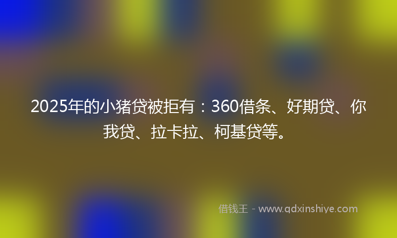 2025年的小猪贷被拒有：360借条、好期贷、你我贷、拉卡拉、柯基贷等。