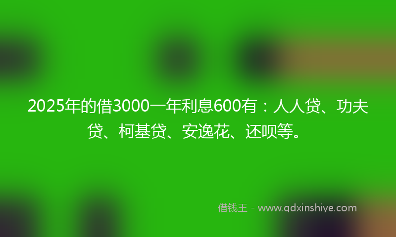 2025年的借3000一年利息600有：人人贷、功夫贷、柯基贷、安逸花、还呗等。