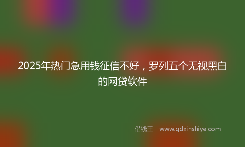 2025年热门急用钱征信不好，罗列五个无视黑白的网贷软件