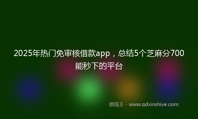 2025年热门免审核借款app，总结5个芝麻分700能秒下的平台