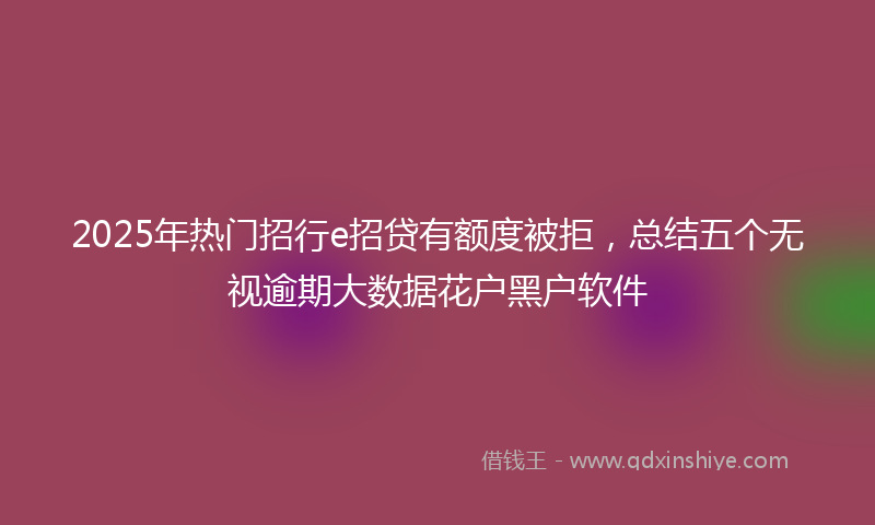 2025年热门招行e招贷有额度被拒，总结五个无视逾期大数据花户黑户软件
