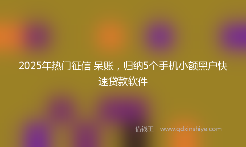 2025年热门征信 呆账，归纳5个手机小额黑户快速贷款软件