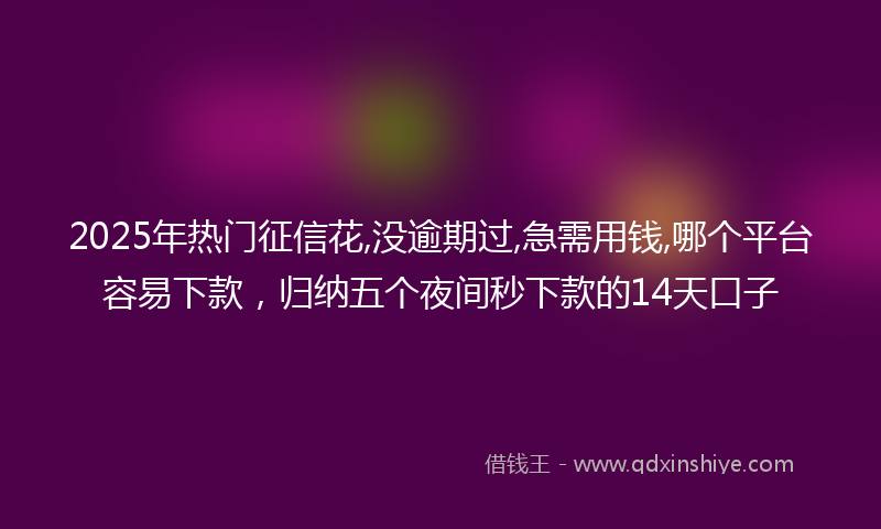 2025年热门征信花,没逾期过,急需用钱,哪个平台容易下款，归纳五个夜间秒下款的14天口子