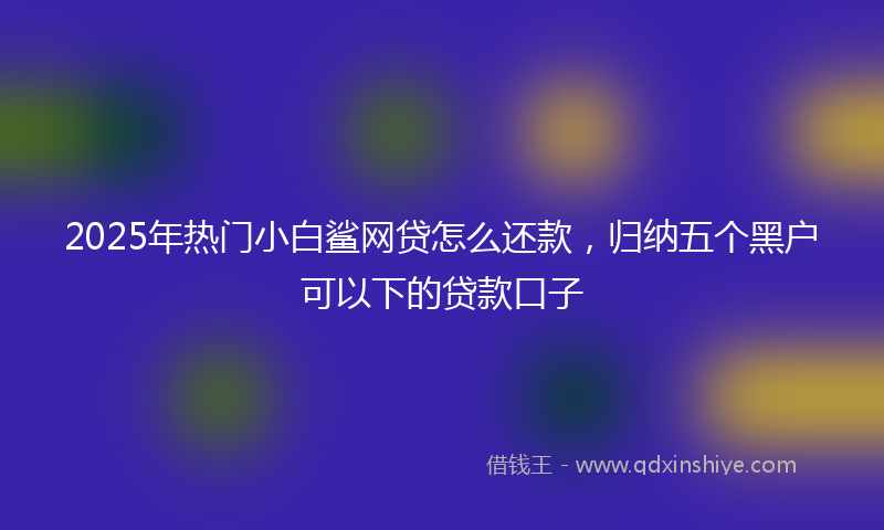 2025年热门小白鲨网贷怎么还款，归纳五个黑户可以下的贷款口子