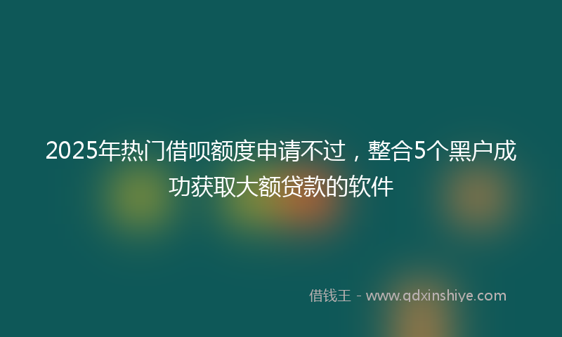 2025年热门借呗额度申请不过，整合5个黑户成功获取大额贷款的软件