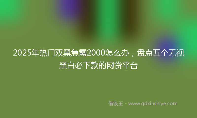 2025年热门双黑急需2000怎么办，盘点五个无视黑白必下款的网贷平台