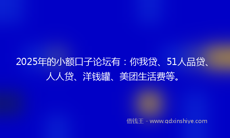2025年的小额口子论坛有：你我贷、51人品贷、人人贷、洋钱罐、美团生活费等。
