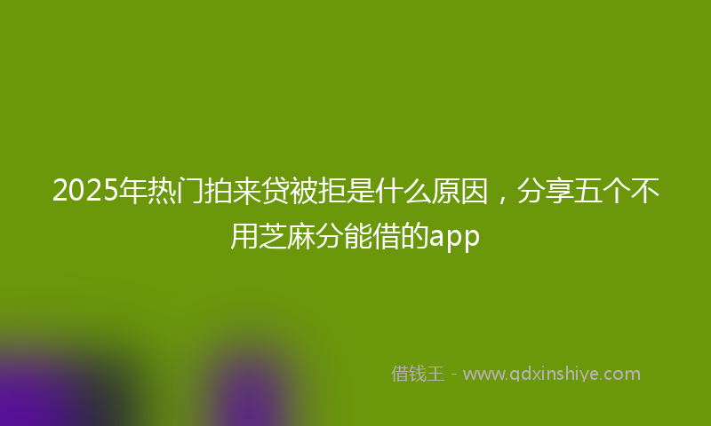 2025年热门拍来贷被拒是什么原因，分享五个不用芝麻分能借的app