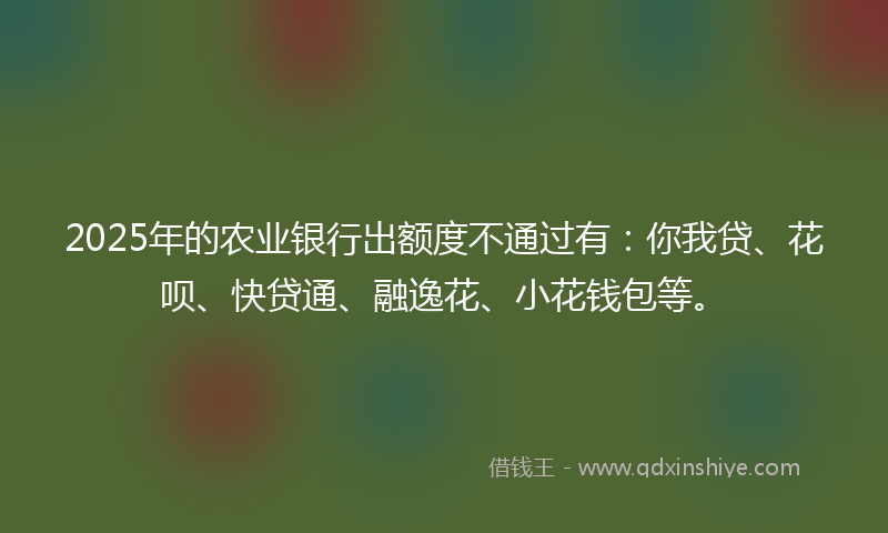 2025年的农业银行出额度不通过有：你我贷、花呗、快贷通、融逸花、小花钱包等。