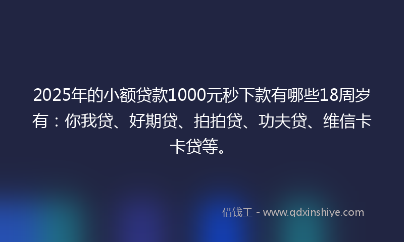 2025年的小额贷款1000元秒下款有哪些18周岁有：你我贷、好期贷、拍拍贷、功夫贷、维信卡卡贷等。