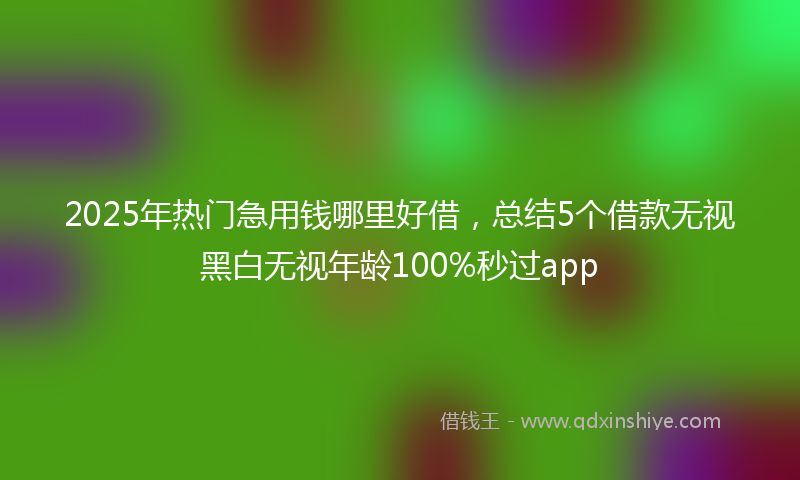 2025年热门急用钱哪里好借，总结5个借款无视黑白无视年龄100%秒过app