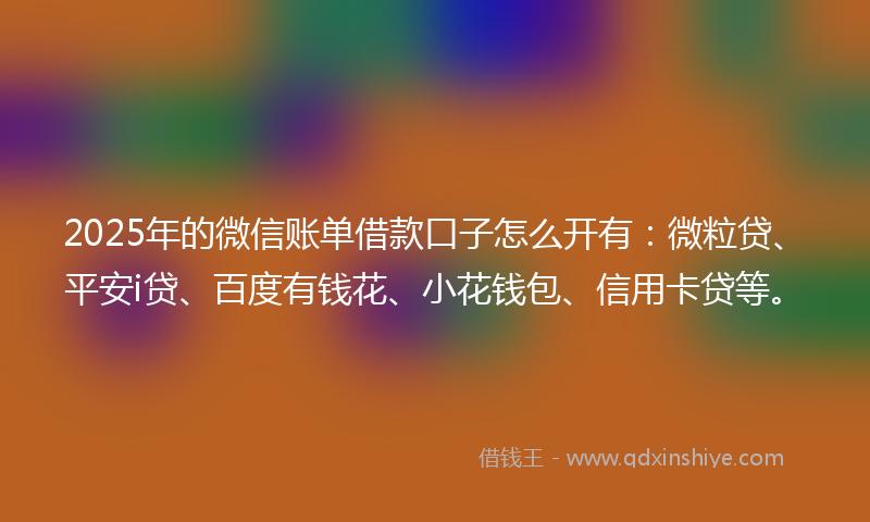 2025年的微信账单借款口子怎么开有：微粒贷、平安i贷、百度有钱花、小花钱包、信用卡贷等。