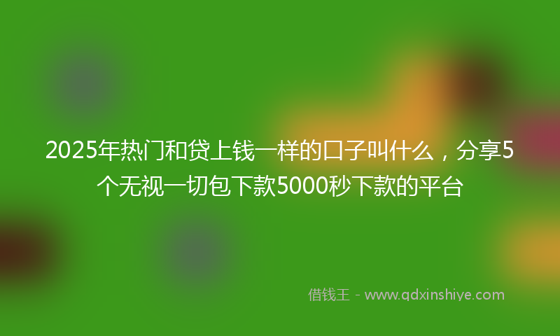 2025年热门和贷上钱一样的口子叫什么，分享5个无视一切包下款5000秒下款的平台